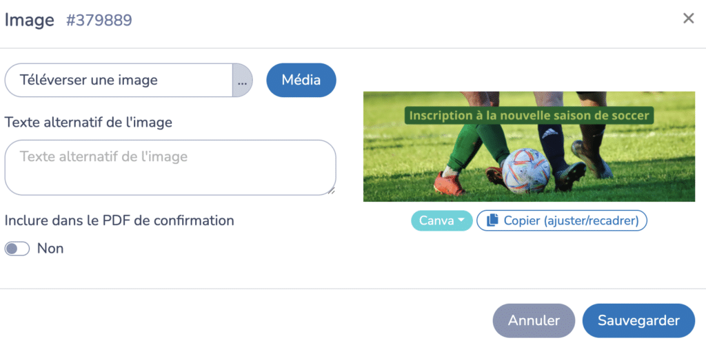 Inscription-en-ligne-club-de-soccer-Activity-Messenger-04
